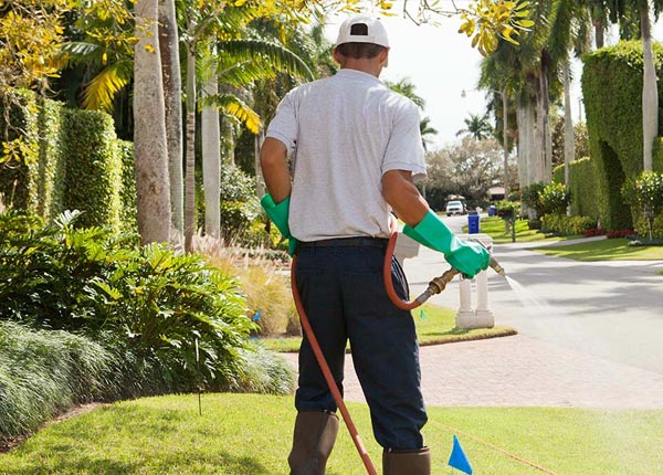 About Badger SD Pest Control